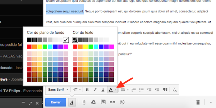 Opções para colorir um texto no Gmail (Foto: Reprodução/Marvin Costa)