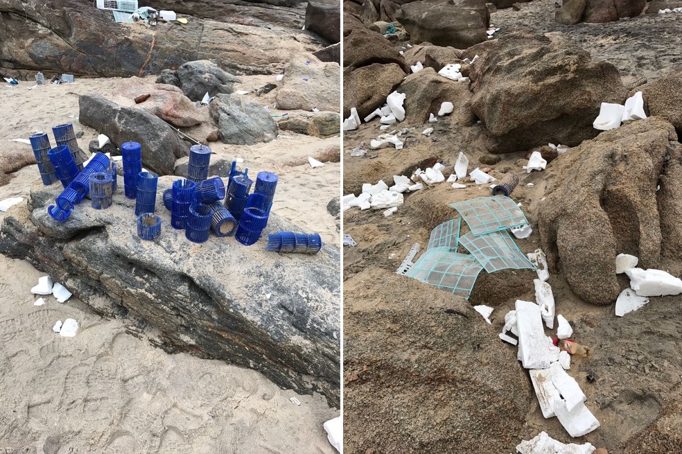 Resíduos devem ser limpos das praias em até uma semana (Foto: Divulgação/Prefeitura de Guarujá )