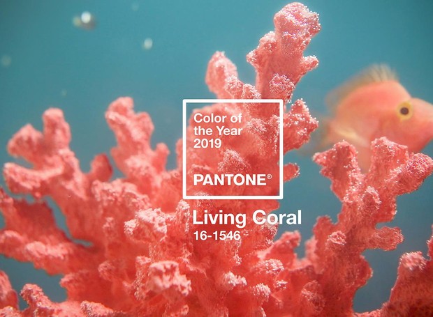 Pantone cor do ano 2019: Living Coral (Foto: Pantone/Divulgação)