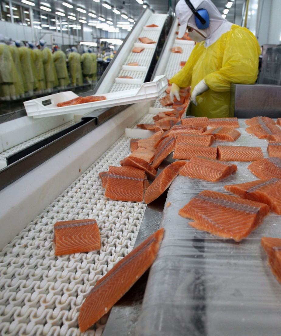 Preço internacional do salmão dispara com crise no Chile