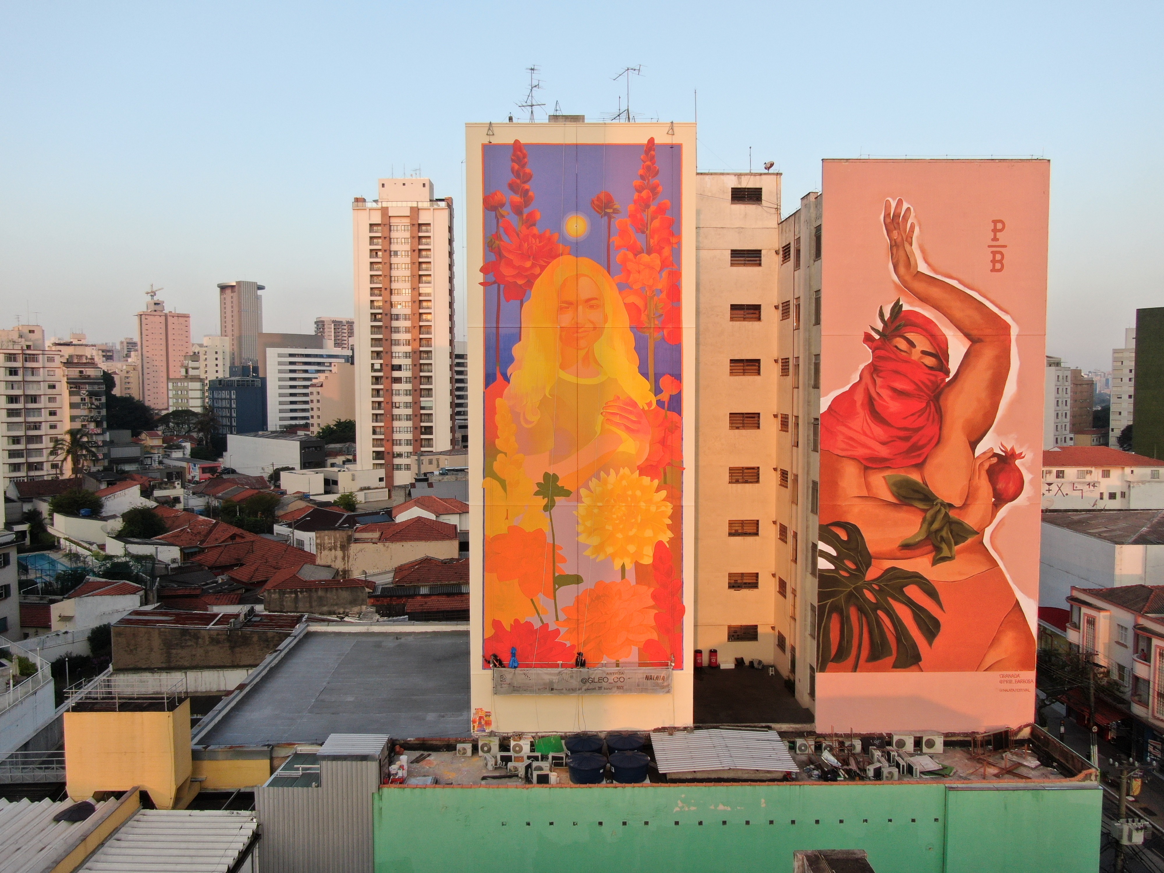 Artistas criam o maior museu brasileiro de grafite a céu aberto (Foto: Divulgação)