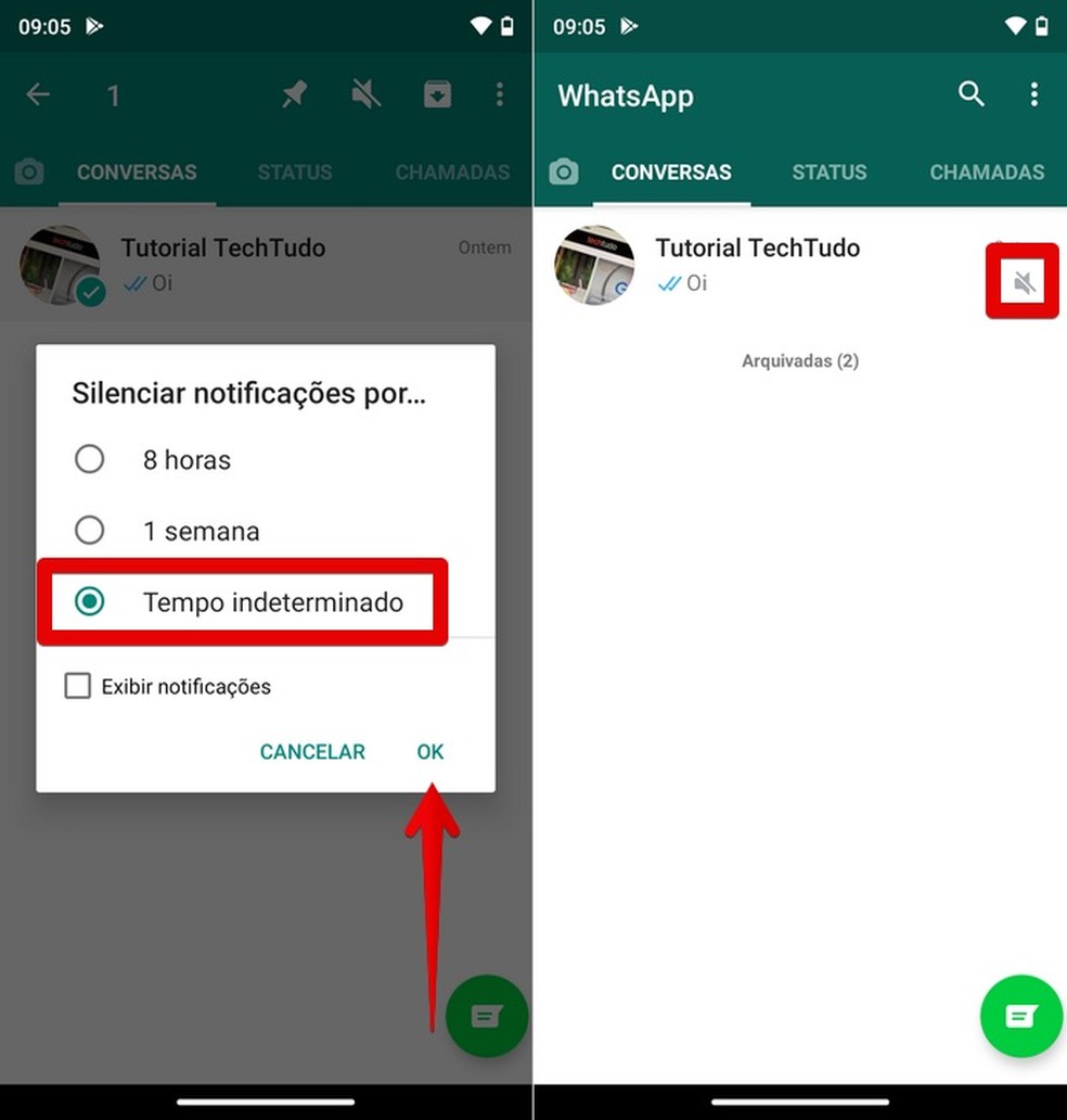 Silenciando notificações por tempo indeterminado — Foto: Reprodução/Helito Beggiora