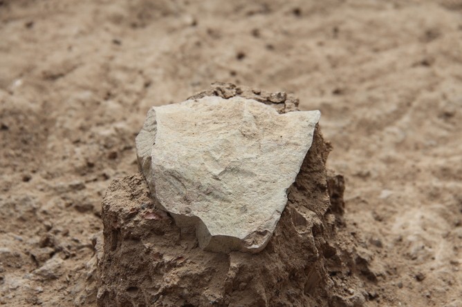  A ferramenta de pedra mais antiga - feita por um ancestral humano ou chimpanzé? (Foto:  MPK-WTAP)