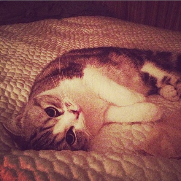 Meredith. (Foto: Instagram)