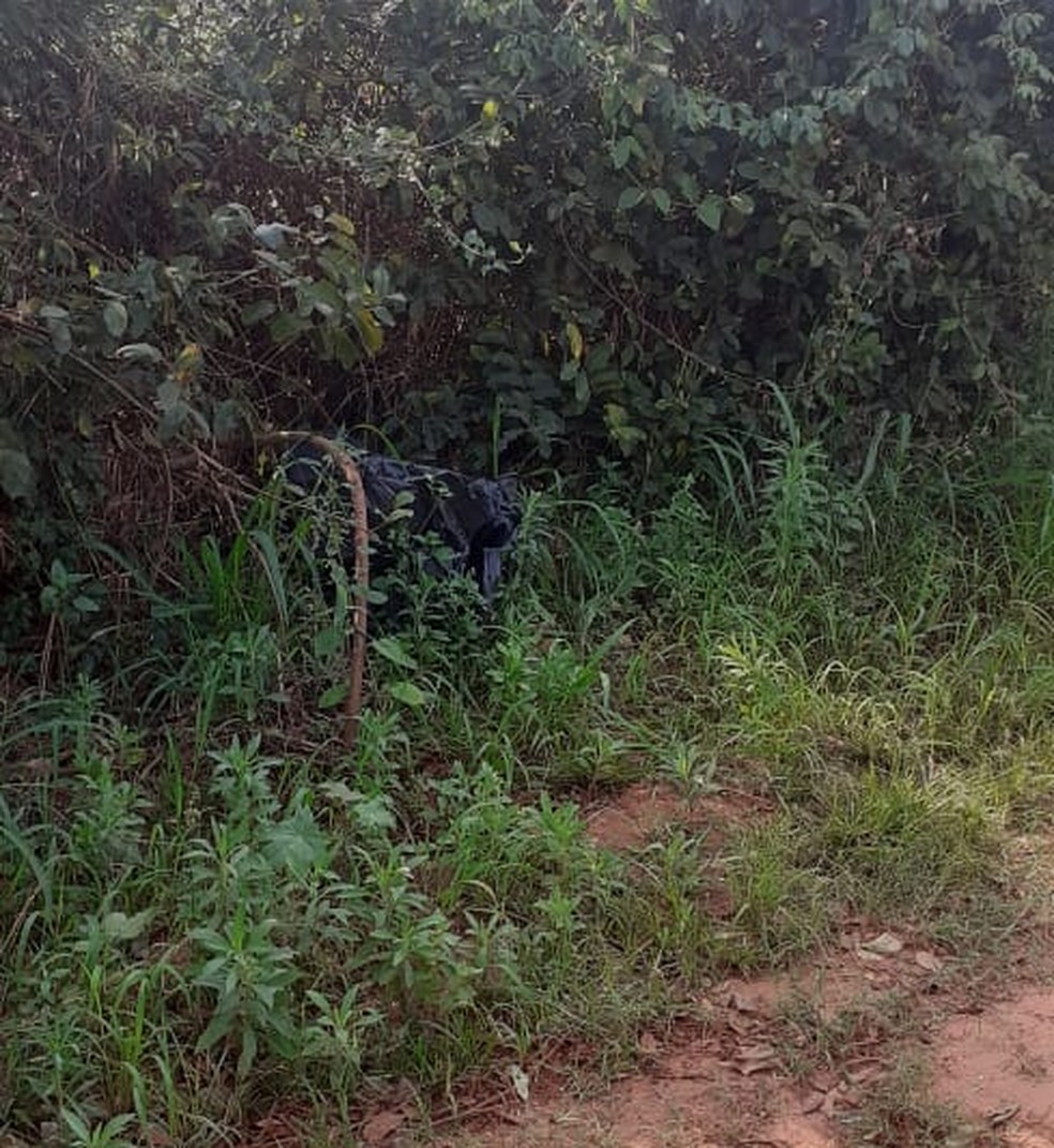 Mais de 12 quilos de maconha foram encontrados em mochila abandonada em Martinópolis (SP) — Foto: Polícia Civil