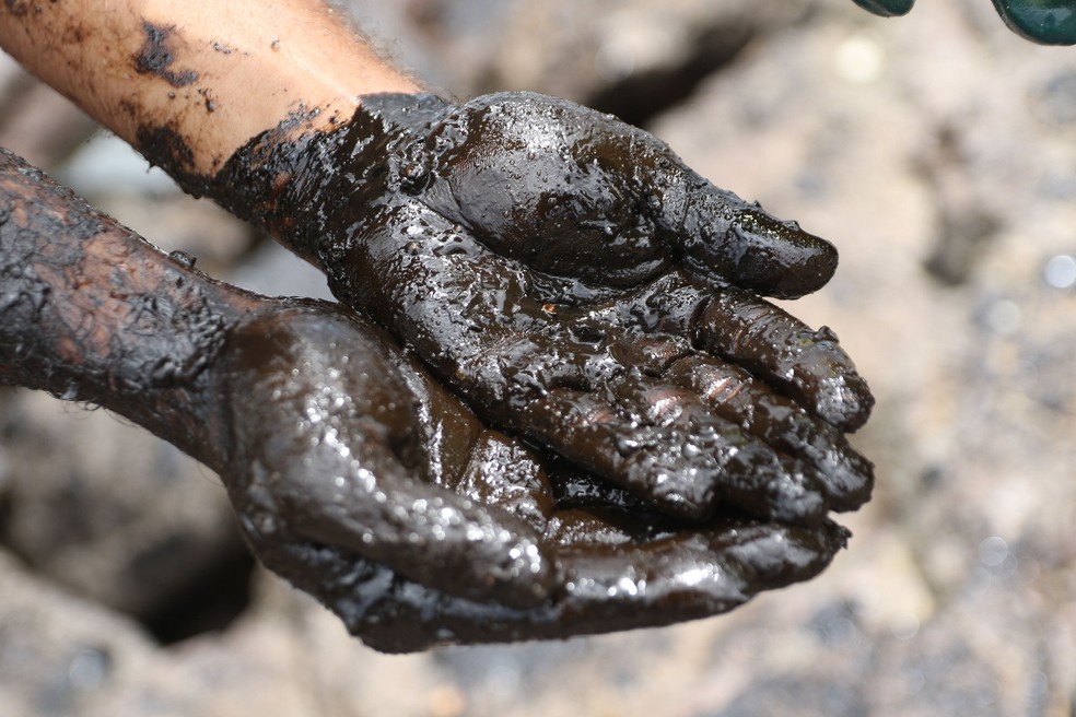 Voluntários retiram óleo da Pedra do Xaréu, no Cabo de Santo Agostinho, Litoral Sul de Pernambuco — Foto: Marlon Costa/Pernambuco Press