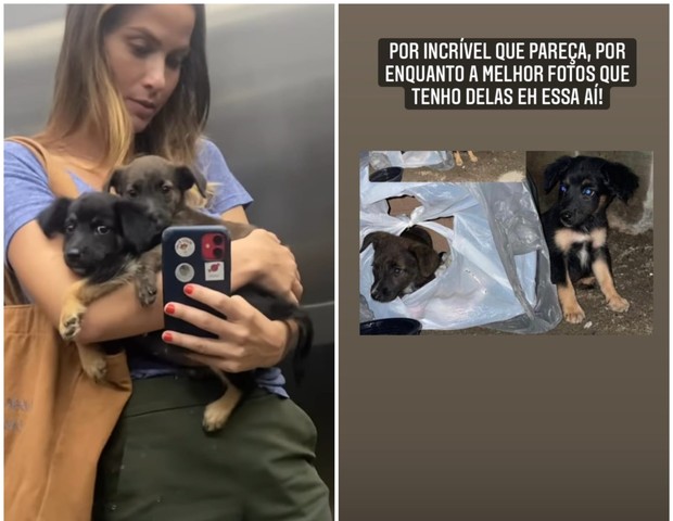 Luiza Valdetaro resgata cachorros (Foto: Instagram)