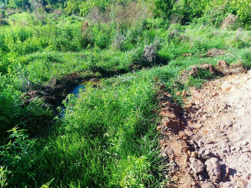 Fiscalização constatou degradação ambiental em obra em Presidente Prudente (SP) — Foto: Polícia Militar Ambiental