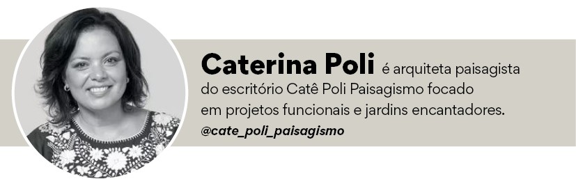 Rodapé colunista Caterina Poli (Foto: Divulgação | Arte: Casa e Jardim)