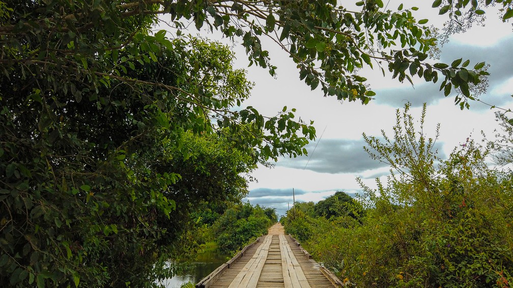 O Pantanal tem muitas reas remotas, como Porto Jofre, localidade de Pocon (MT) que s pode ser acessada de avio ou pela Transpantaneira, estrada com mais de 100 pontes, muitas ainda feitas de madeira  Foto: Eduardo Palacio/G1