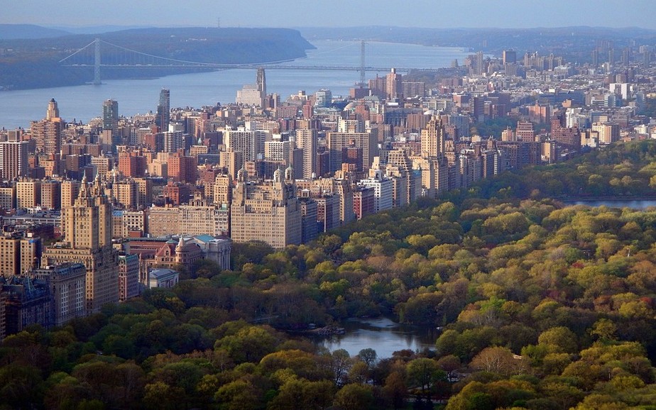 Nova York tem vegetação capaz de absorver emissões de carbono dos veículos da cidade