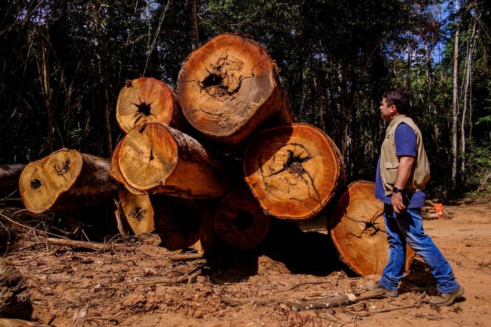 Em 2018, foram embargados mais de 82 mil hectares por desmatamento ilegal em Mato Grosso  Foto: Mayke Toscano/ Gcom-MT