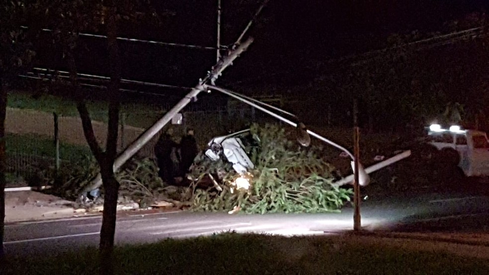 Motorista derrubou árvore e poste na madrugada deste sábado (16) em Bauru — Foto: Arquivo pessoal/Carlos Eduardo Ferreira