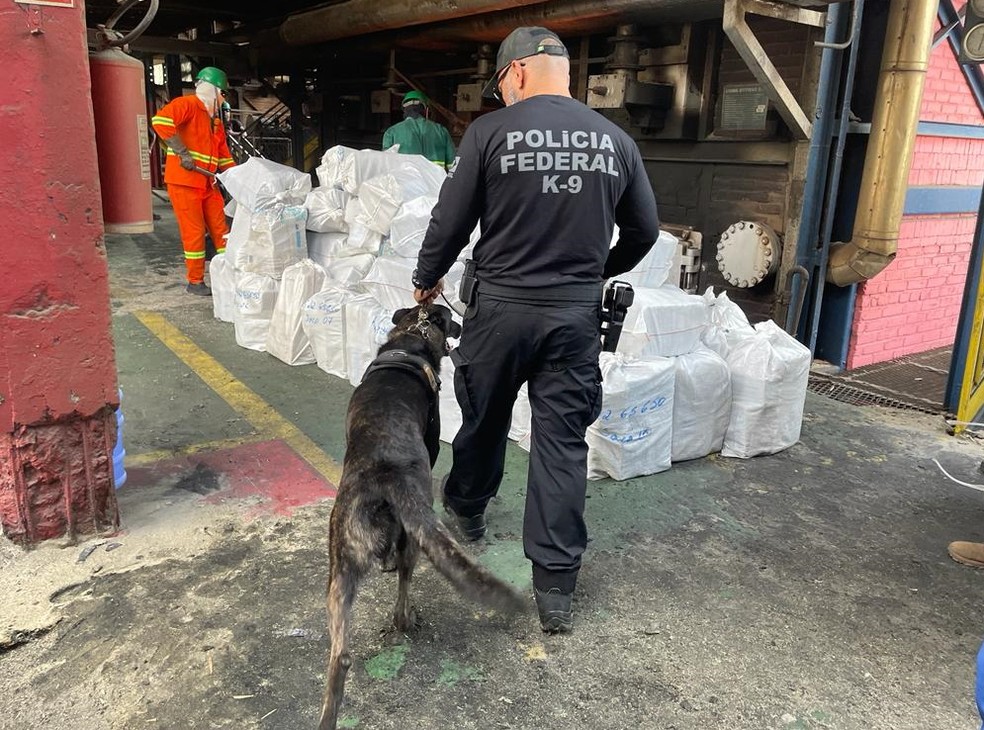 Pol&iacute;cia Federal incinera mais de 7 toneladas de drogas no RN &mdash; Foto: Cedida