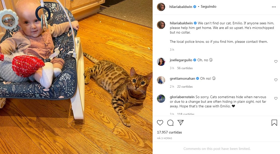 Hilaria Baldwin pede ajuda para encontrar o gato Emilio (Foto: Reprodução / Instagram)