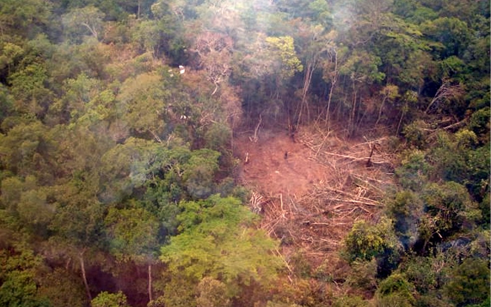 Equipes abriram uma clareira para o resgate dos corpos — Foto: Arquivo/Corpo de Bombeiros de Sinop (MT)