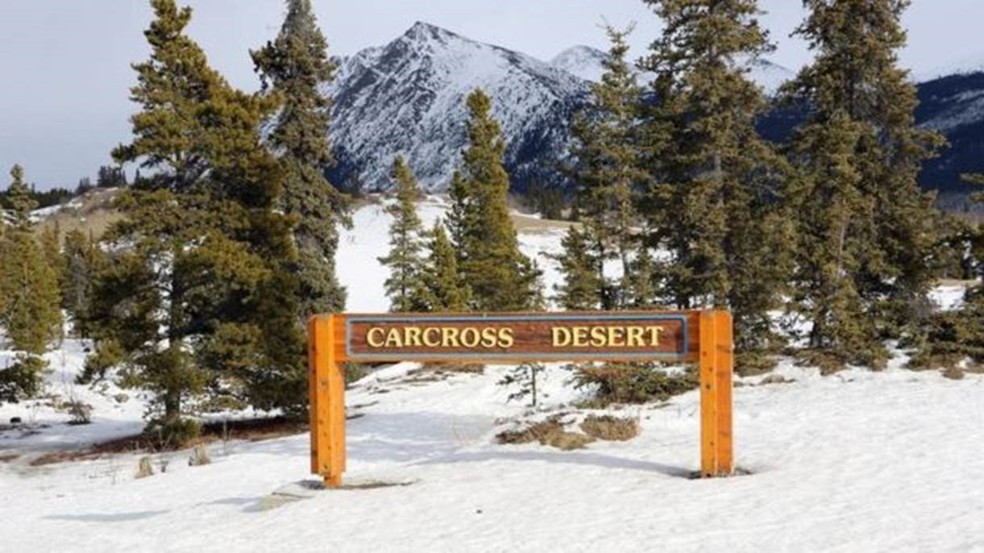 Com apenas 600m de largura, o deserto canadense de Carcross é considerado o menor do mundo — Foto: Mike MacEacheran