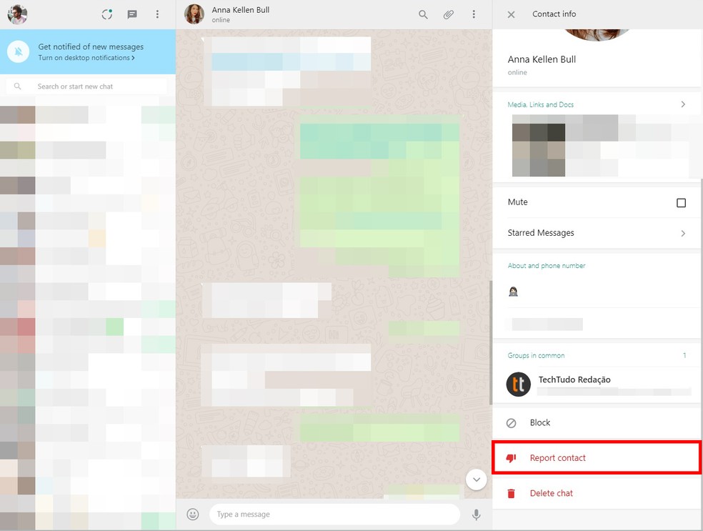 Menu "escondido" no WhatsApp Web oferece a opção de denunciar um contato — Foto: Reprodução/Eduardo Manhães