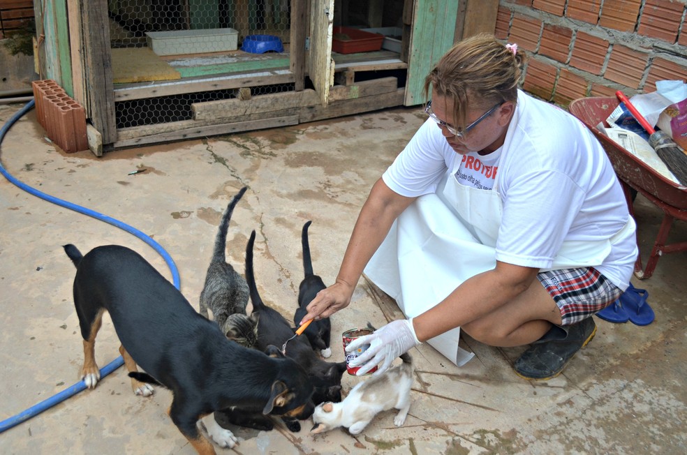 Aposentada transformou a casa em abrigo para animais, mas diz que não tem mais condições de fazer resgates (Foto: Veriana Ribeiro/G1)