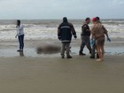 Universitário desaparecido é achado morto em praia de Rio Grande, RS