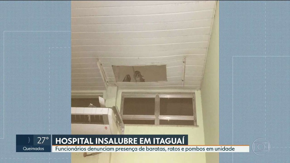 Pombos em hospital de Itaguaí — Foto: Reprodução/TV Globo