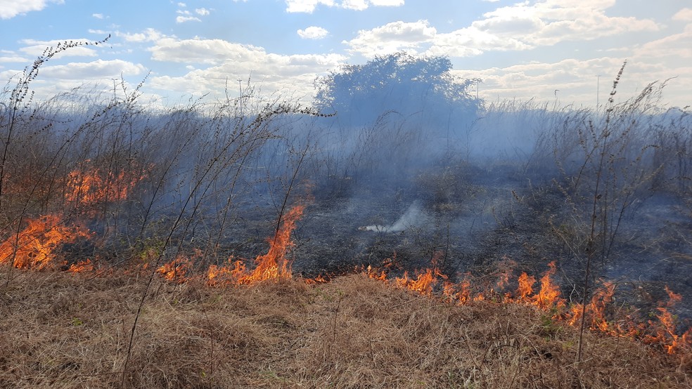 Chuvas em algumas regiões do Ceará contribuem para a redução de focos de incêndio no estado — Foto: Wandenberg Belém/SVM