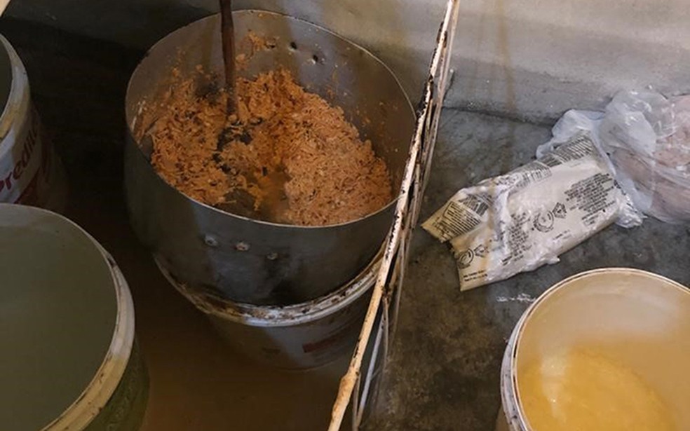 Alimentos em padaria de Campos, RJ, eram manipulados em ambiente sem condições sanitárias — Foto: Divulgação/Prefeitura de Campos dos Goytacazes