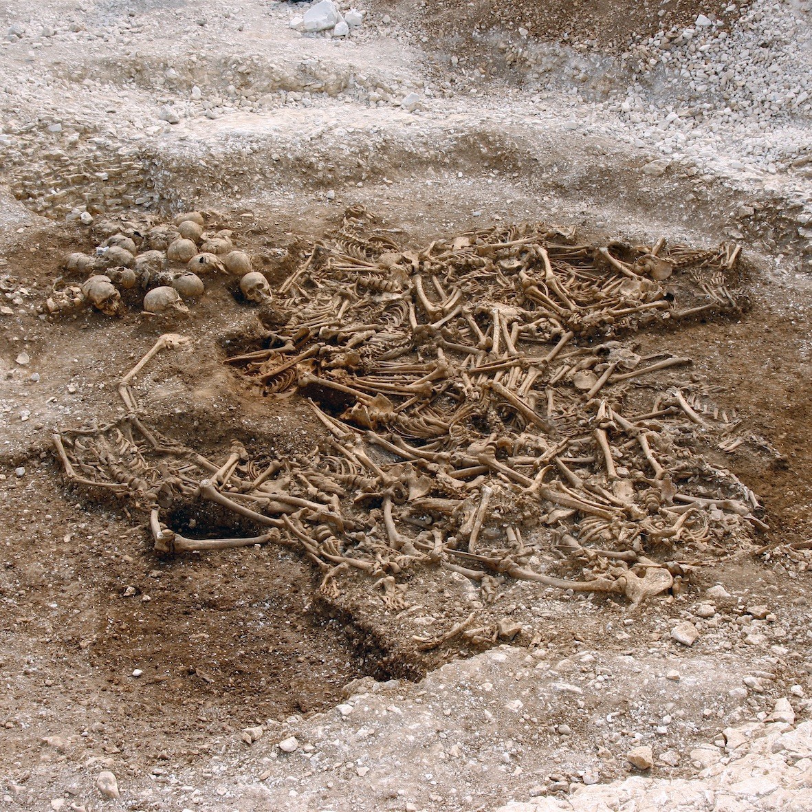 Uma vala comum com cerca de 50 esqueletos em Dorset, no Reino Unido (Foto: Dorset County Council/Oxford Archaeology)
