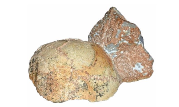 Fragmentos de crânio encontrados na caverna na Grécia  (Foto: Katerina Harvati, Eberhard Karls/University of Tübingen)