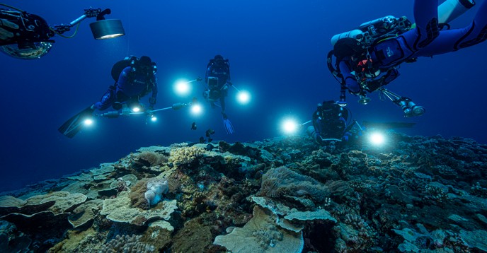 Recife de coral raro e intocado é encontrado na costa do Taiti (Foto: UNESCO/Alexis Rosenfeld/1 Ocean)