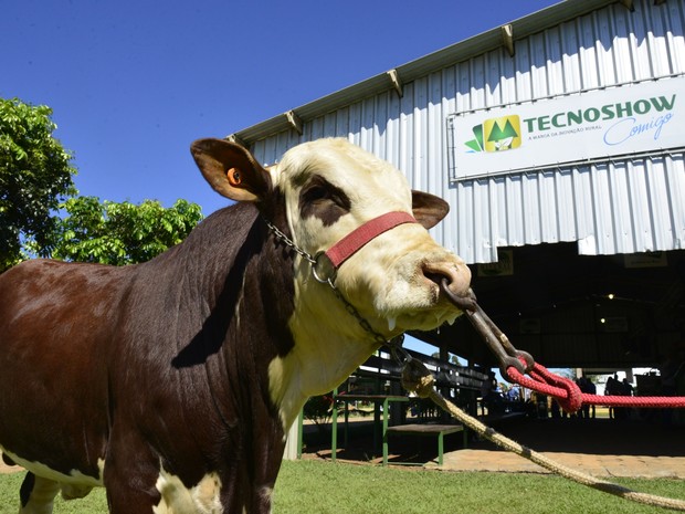 Exposição da Tecnoshow apresenta mais de 1 mil animais em Rio Verde Goiás (Foto: Divulgação/Cristiano Borges)