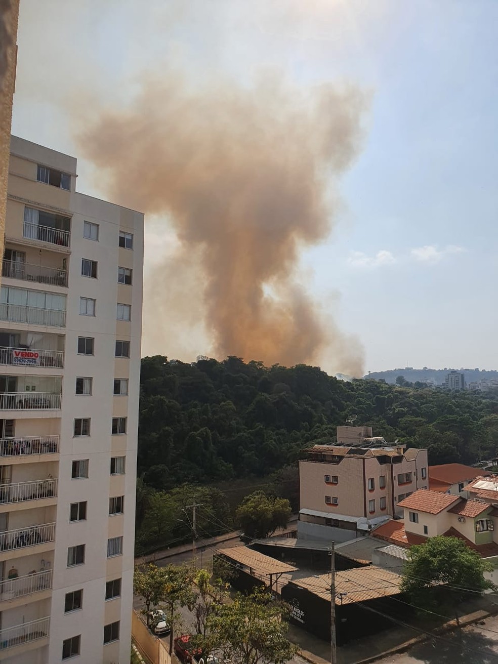 Incêndio atinge parque na Região da Pampulha — Foto: Emanuel Mari Rodrigues/Arquivo pessoal