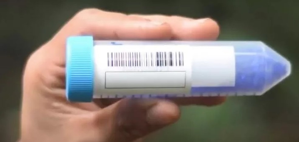 Exemplo de tubete onde é inserida e guardada a amostra das madeiras que terão o DNA analisado. O código de barras é relacionado à árvore e ao lote cuja árvore foi colhida e as informações são disponibilizadas em tempo real — Foto: Reprodução/GenomaA Biotech