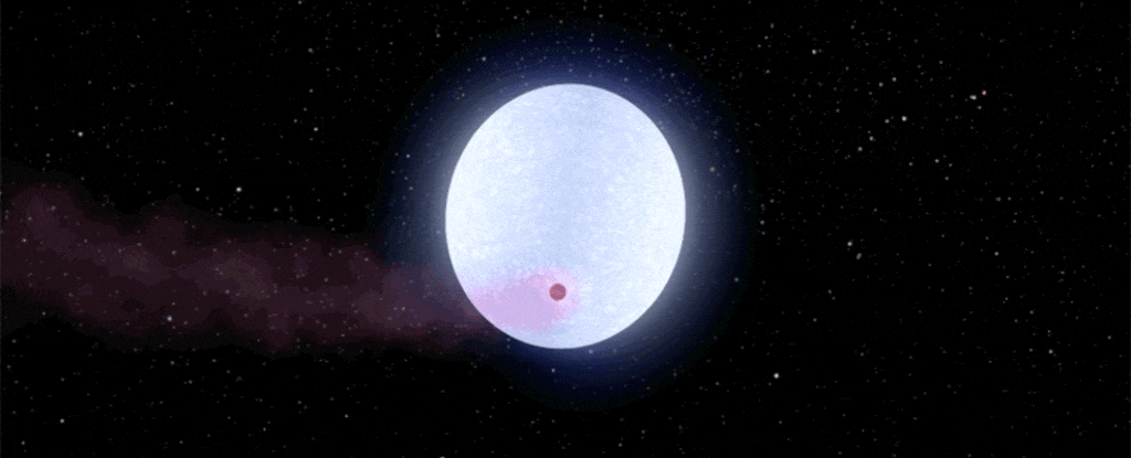 Exoplaneta KELT-9b ( em vermelho) gira em torno da estrela azul supergigante, HD 195689. (Foto: NASA/JPL-Caltech)