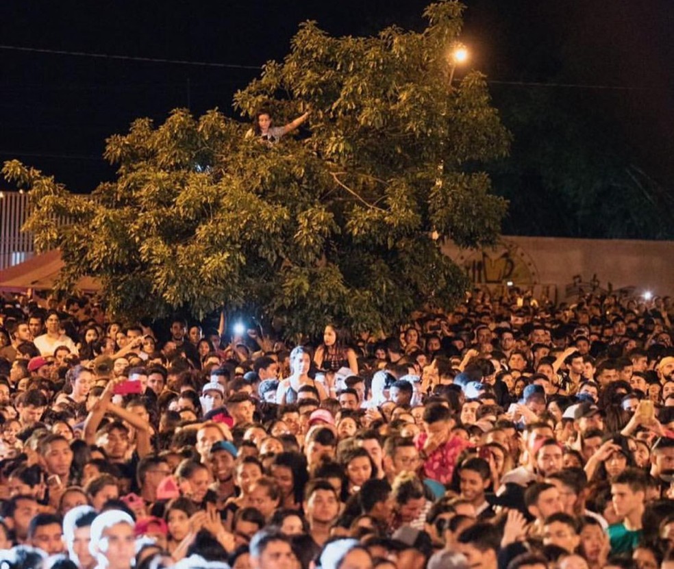 Nas redes sociais, fãs lembram show surpresa de Marília Mendonça em Teresina. Até em cima de árvores o público subiu. — Foto: Reprodução