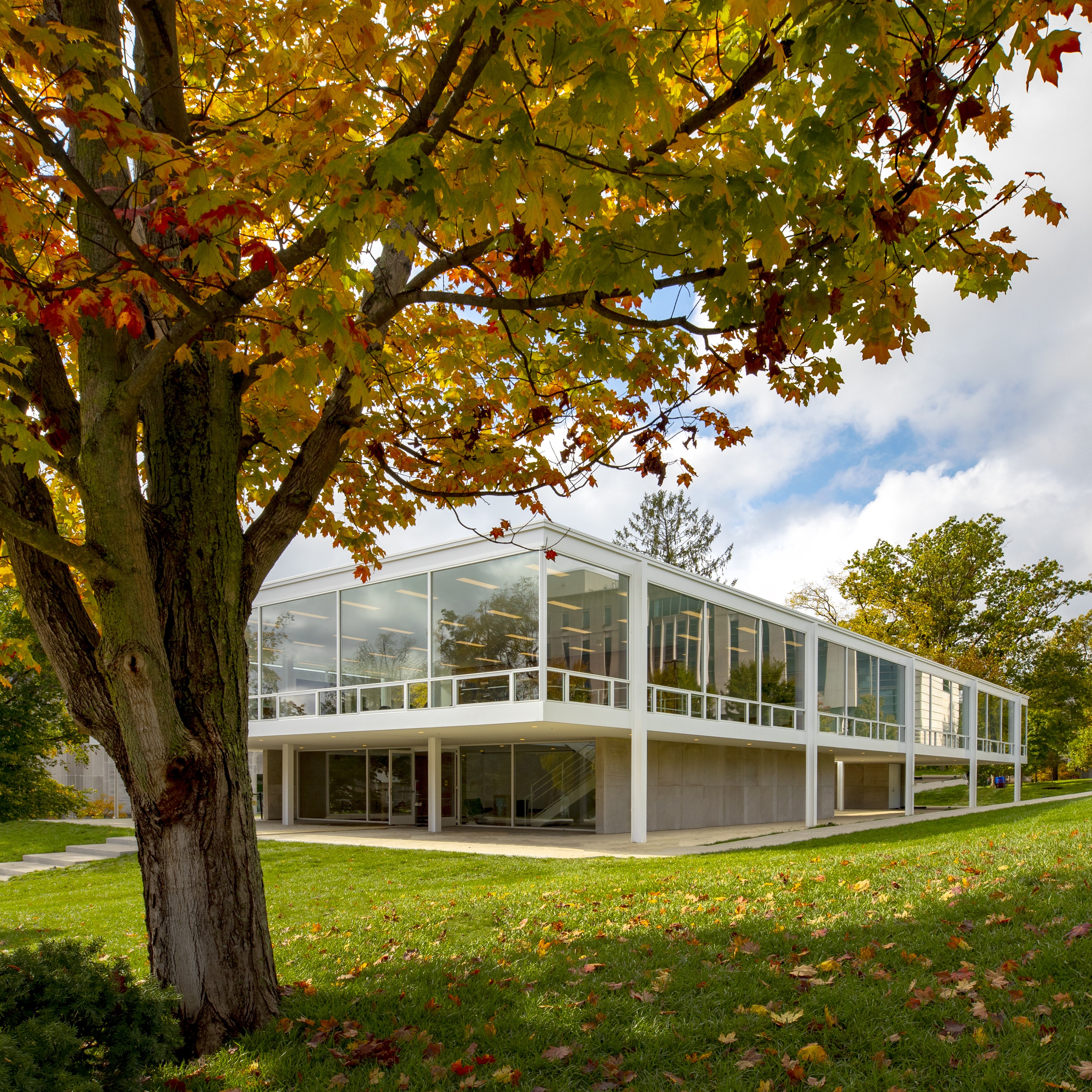 Projeto redescoberto de Mies van der Rohe é inaugurado nos Estados Unidos (Foto: Divulgação/ Eskenazi School of Art, Architecture + Design, Indiana University © Hadley Fruits)