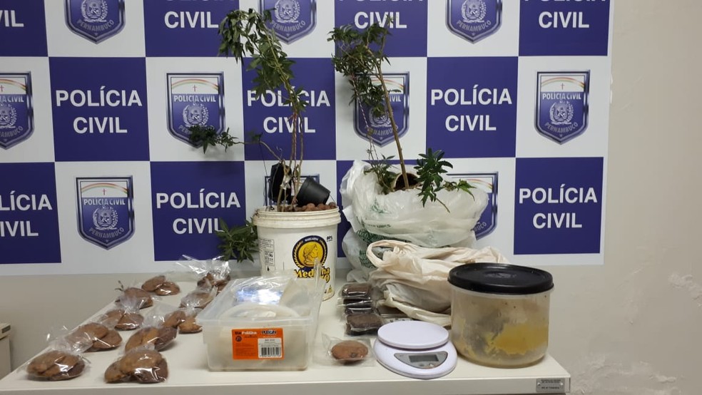 Biscoitos feitos com maconha, pés da droga e outros ingredientes usados na fabricação dos doces foram apreendidos no Recife  — Foto: Polícia Civil/Divulgação