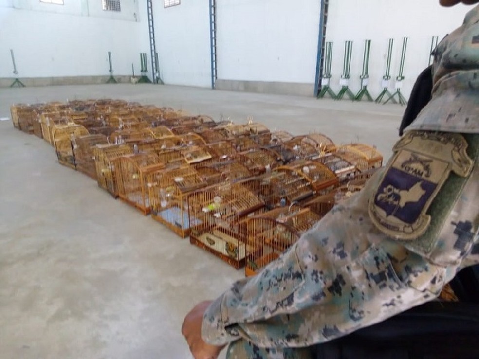Policiais chegaram atÃ© o galpÃ£o onde o o evento estava acontecendo apÃ³s receberem denÃºncia â Foto: DivulgaÃ§Ã£o/PolÃ­cia Ambiental