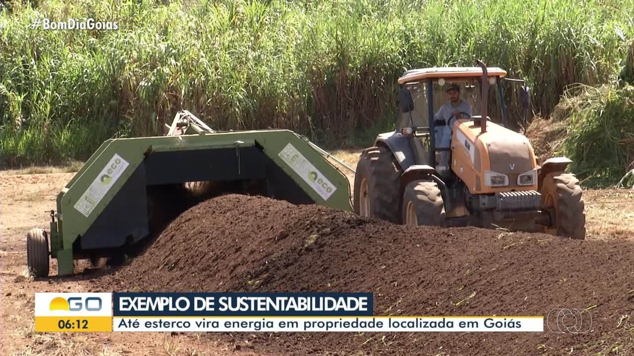 VÍDEOS: Bom Dia Goiás desta quinta-feira, 1° de junho de 2023