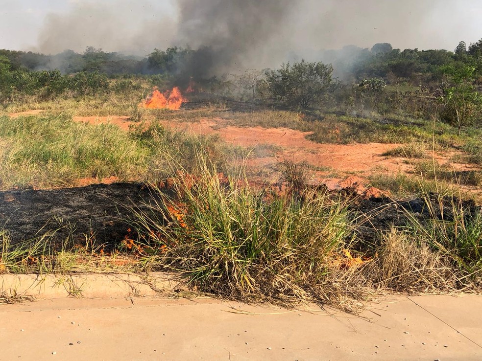 Incêndio em vegetação em trecho de Álvares Machado — Foto: Marcelo Pereira/TV Fronteira