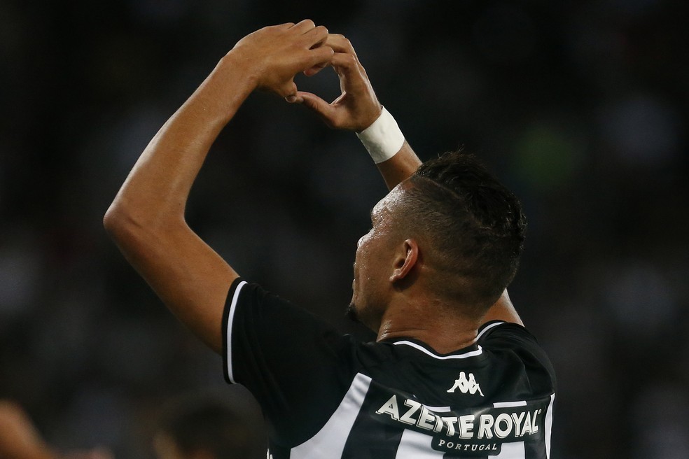 Luiz Fernando na comemoração do gol da vitória do Botafogo em cima do Paraná — Foto: Vitor Silva/Botafogo