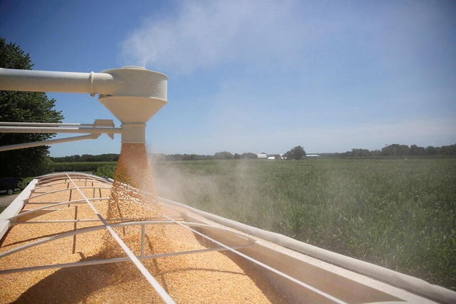 Exportadores de milho dos EUA têm lutado para competir com os suprimentos brasileiros mais baratos