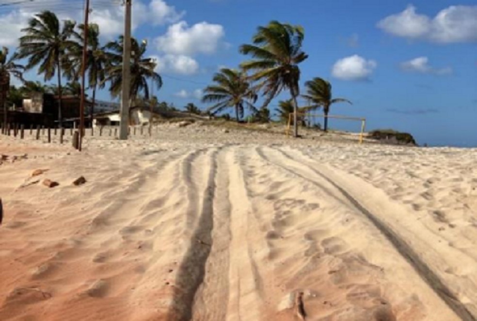 Marcas de pneus em praia de Tibau do Sul, no RN — Foto: Camões Boaventura/MPF/Divulgação