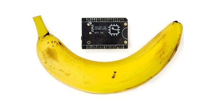 CHIP é menor que uma banana (Foto: Divulgação/Next Thing)