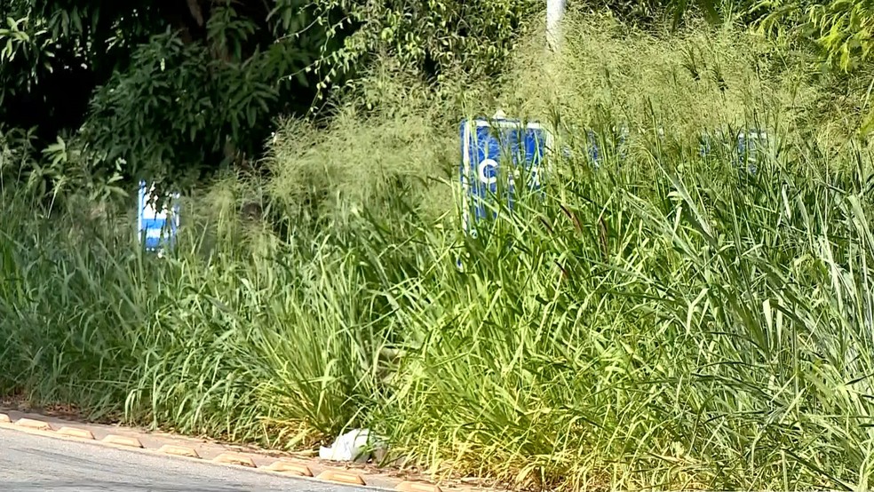 Em alguns trechos da BR-259, entre Colatina e Baixo Guandu, no Espírito Santo, não é possível identificar a sinalização (Foto: Heriklis Douglas/ TV Gazeta)