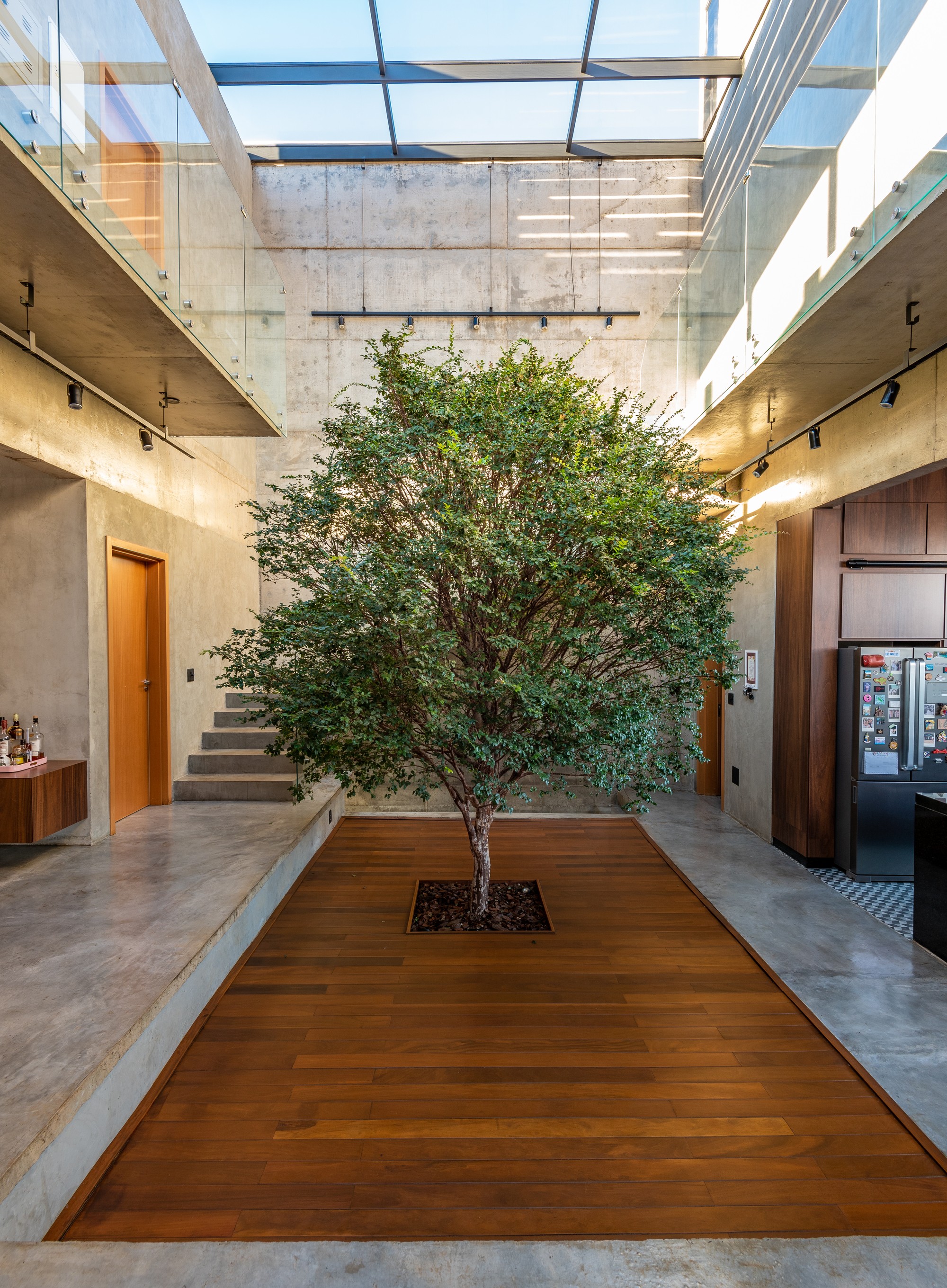 Natureza em casa: 6 projetos com árvores nos interiores (Foto: Fabio Jr Severo)