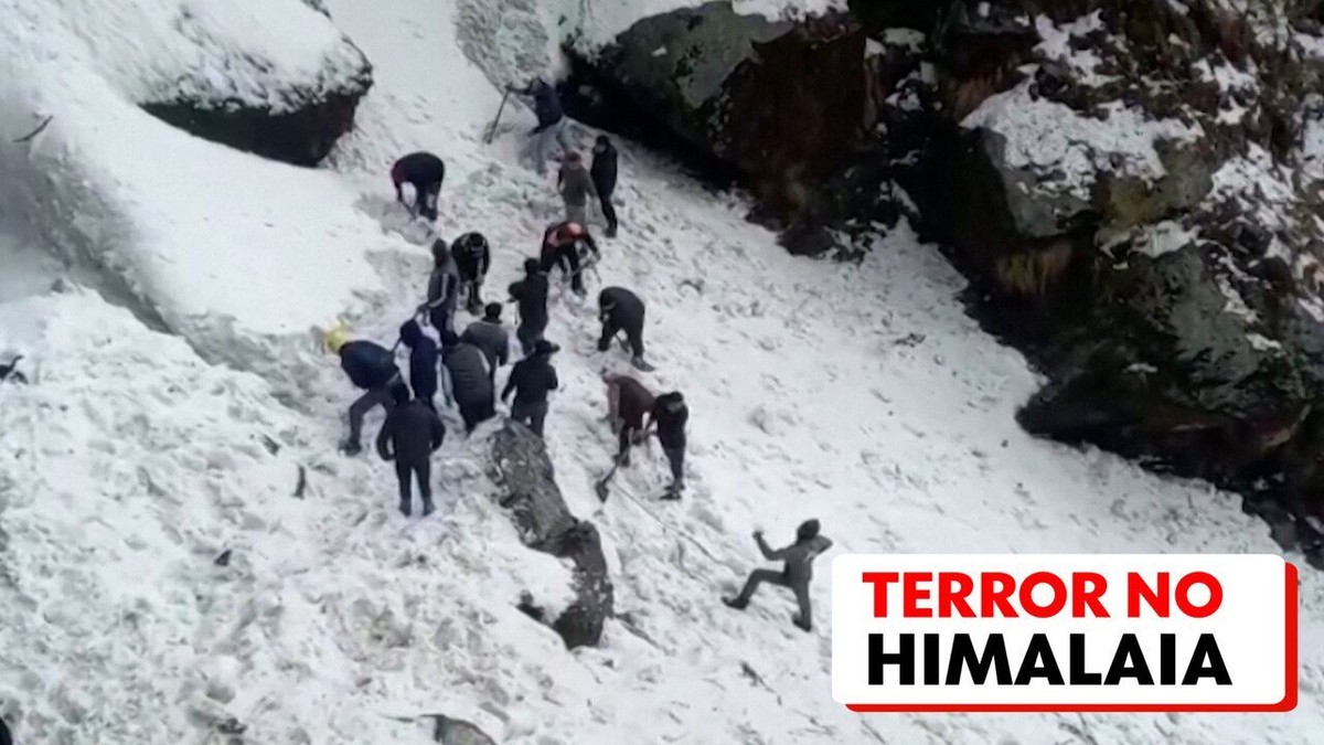 Seven tourists were killed by an avalanche in India.  others trapped |  world
