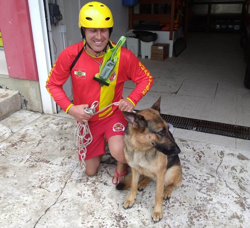 Resultado de imagem para Cadela cai no mar e é resgatada por bombeiros com moto aquática em Balneário Camboriú