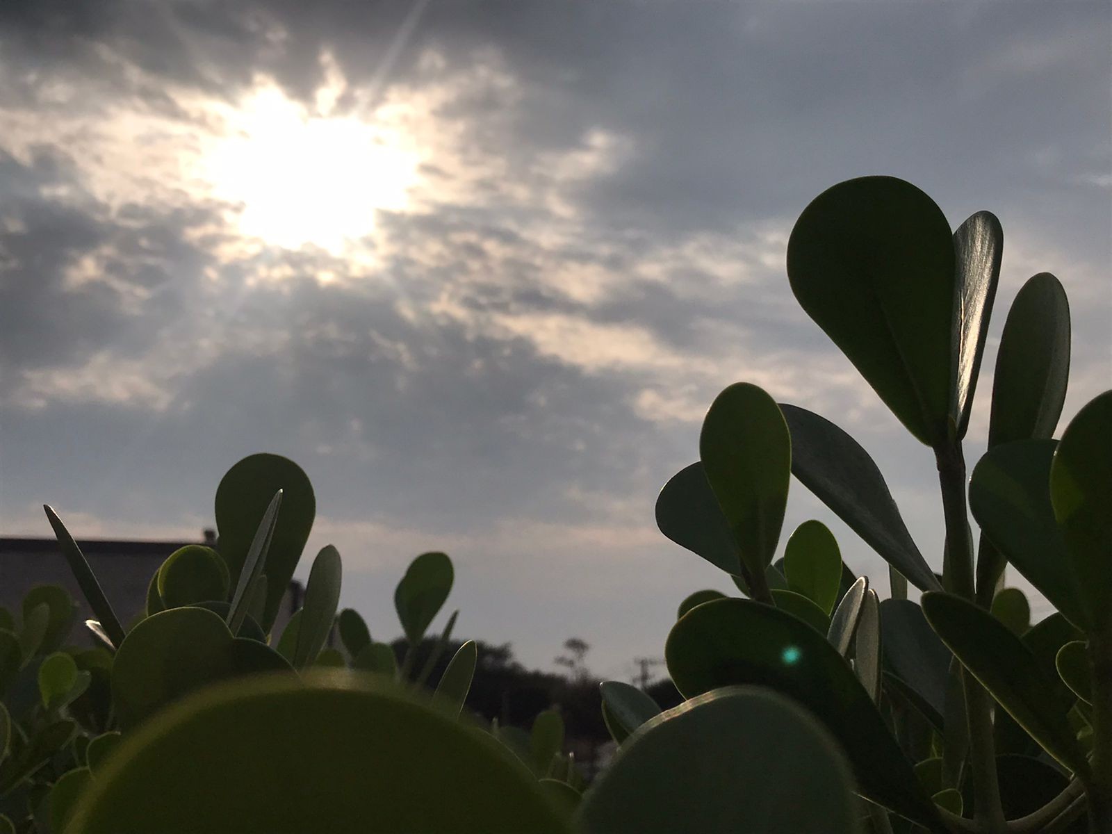 Outono começa neste domingo com previsão de chuva e declínio da temperatura em Sorocaba