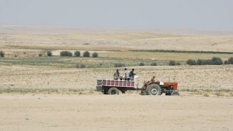 BBC Agricultores dirigindo trator na região de Hasaka, na Síria, afetada pela seca, em 2010 (Foto: Getty Images via BBC)